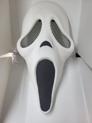 Hard Plastic Scream Ghost Face Mask