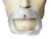 Mark Twain Moustache Grey