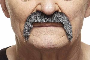 Walrus Moustache | Salt and Pepper