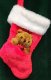 Christmas Stocking with Detachable Teddy Bear