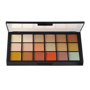 Ben Nye Concealer and Adjuster Palette