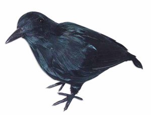 12 Inch Black Crow