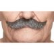 Gentlemen Moustache | Salt and Pepper