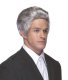 Salesman Wig Grey