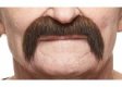 Short Handlebar Moustache | Brown and Red