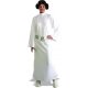 Star wars Deluxe Princess Leia Standard