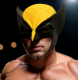 Marvel Wolverine Mask