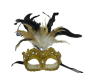 Gold Lace Mask with Feathers