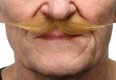Small English Moustache | Dark Brown Small English Moustache | Dark Brown