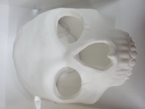 Skull Half Mask