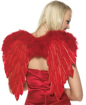 Red Feather Wings