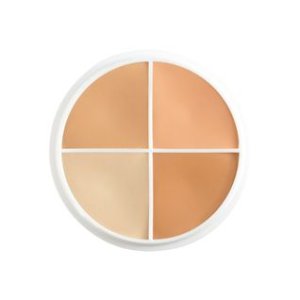 Ben Nye Wheel | Conceal All