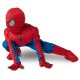 Premium Marvel Spider Man Extra Small