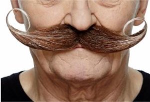 English Gent Moustache | Brown and White