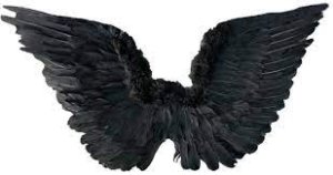 Black Feather Wings