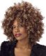 Fine Foxy Fro Wig