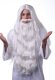 Wizard Beard and Wig Set