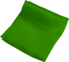 Silk 12 Inch | Green