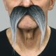 Long Bushy Moustache | Black and Grey