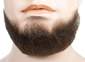 5 Point Human Hair Beard Black