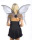 Fairy Wings Black