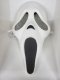 SCREAM Ghost Face Hard Plastic Mask