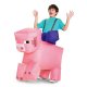 Minecraft Pig Ride-On | Child One Size
