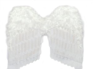 24 Inch Feather Wings | White