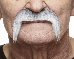 Walrus Moustache | White and Grey