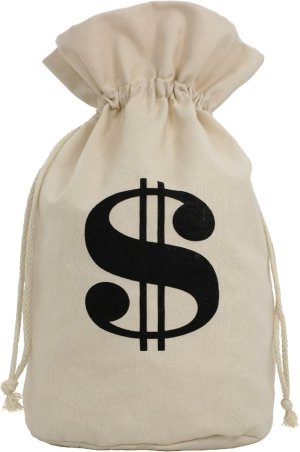 Canvas Money Bag