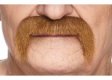 Short Handlebar Moustache | Auburn