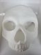 Skull Half Mask