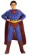 DC Muscle Superman | Large