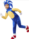 Deluxe Sonic The Hedgehog | Medium