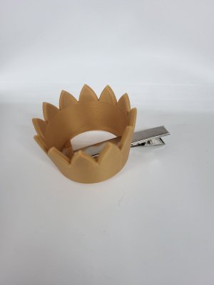 Mini Crown Hair Clip