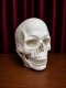 Full Face Skull Headpiece Full Face Skull Headpiece