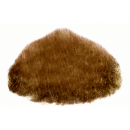 Brown Chinbeard