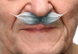 Moustache Small Grey/White