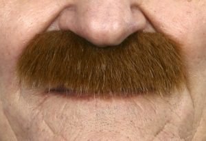 Auburn Bushy Moustache