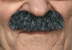 Lampshade Moustache | Salt and Pepper