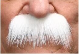White Grandpa mustache