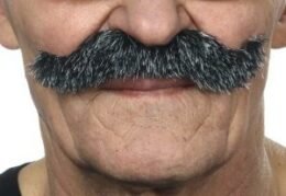 Imperial Moustache | Salt and Pepper