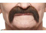 Short Handlebar Moustache | Brown Red