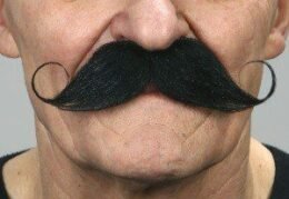 Curled Dapper Moustache | Black