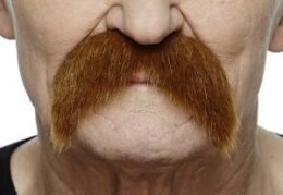 Bushy Walrus Moustache | Auburn