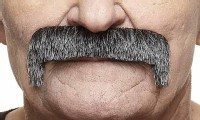 Small Horseshoe Moustache | Salt and Pepper