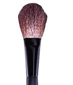 EF 002 Blush Brush