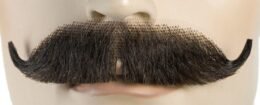 Edwardian Mustache Brown