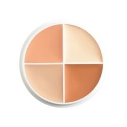 Ben Nye Wheel | Highlight