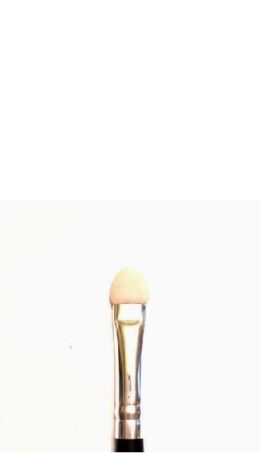 Foam Tip Eyeshadow Applicator